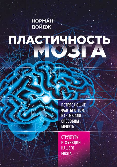 Пластичность мозга: адаптация к новой информации