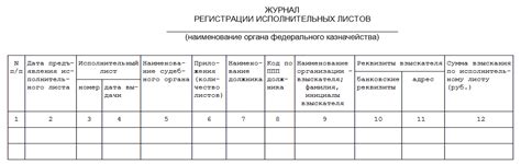 Плюсы использования журнала регистрации исполнительных предписаний