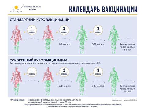 Плюсы и минусы прививки от клещевого энцефалита