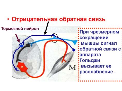 Повреждение соматической нервной системы