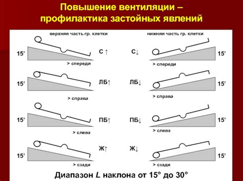 Повышение вентиляции тела