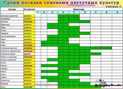 Подбор места для высадки растения