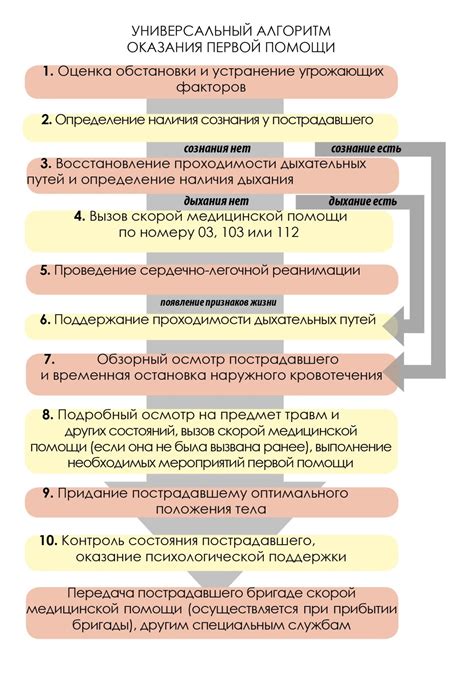 Подготовка инструментов, выбор места и последовательность действий