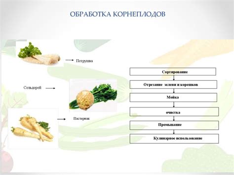 Подготовка овощей к тушению