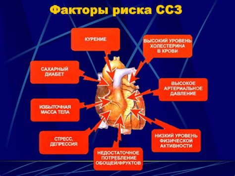 Поддержание здоровья сердца и снижение риска сердечно-сосудистых заболеваний