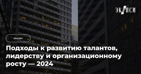 Подходы к развитию талантов: важные уроки для обучения
