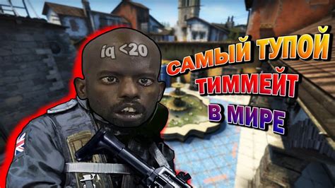 Поиск Scy в мире CS:GO