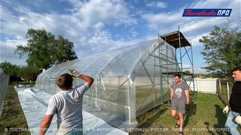 Покрываем каркас яйцами