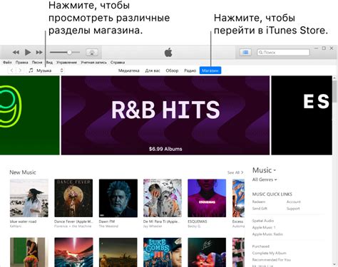 Покупка и загрузка медиа-контента в iTunes Store