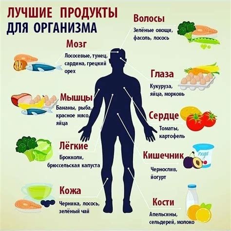 Полезные продукты для омоложения организма