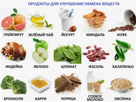 Полезные продукты для регенерации