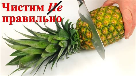 Полезные советы для сохранения вкуса блюда