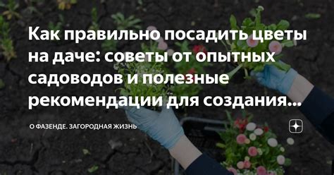 Полезные советы и рекомендации: