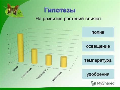 Полив, освещение, температура и удобрения