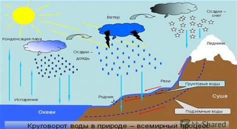 Полив: вода и влажность в тонусе