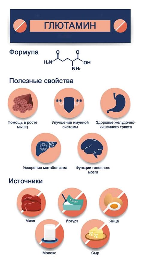 Понятие, происхождение и основные свойства глютамина