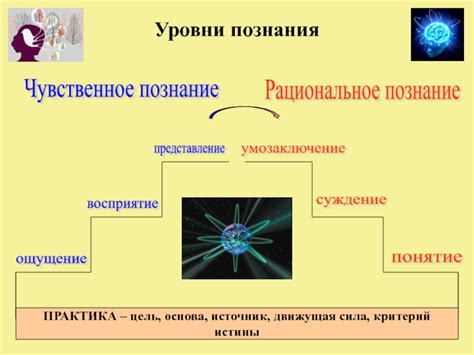 Понятие как основа познания