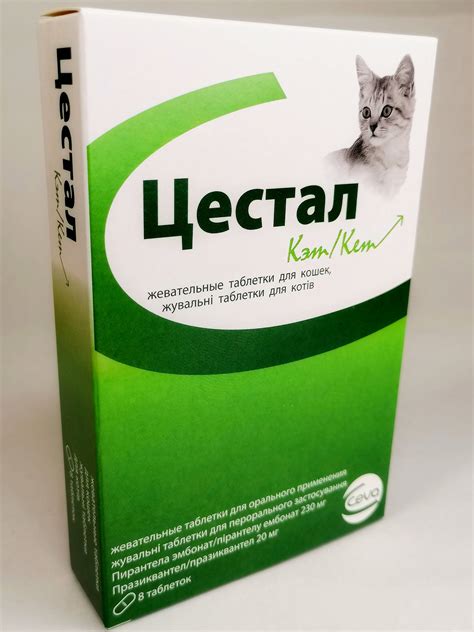 Популярное средство Цестал: эффективность и безопасность для вашей кошки