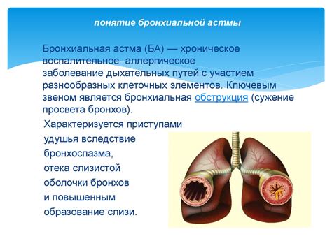 Популярные вопросы и ответы о рентгеновском исследовании при бронхиальной астме