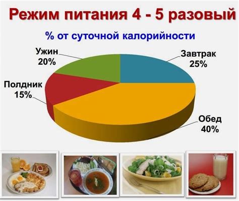 Порционность кормления: количество пищи на каждый прием