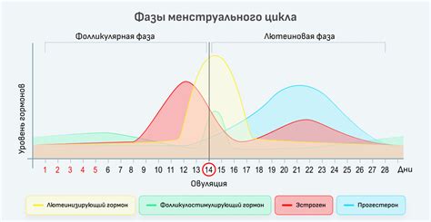 Постоянная суета и ощущение беготни