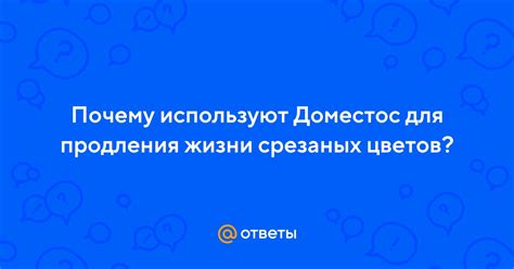 Почему Доместос эффективен?