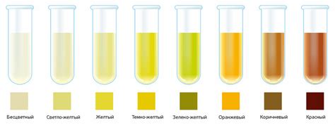 Почему меняется цвет мочи