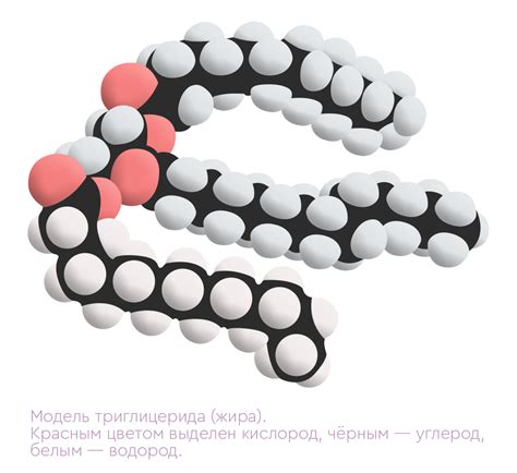 Почему организм не способен самостоятельно производить заменимые жирные кислоты