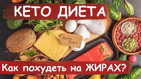 Почему похудение на жирах и белках?