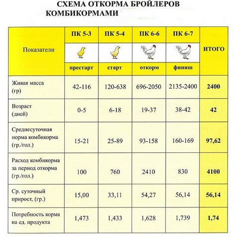 Правила кормления для здоровья и роста