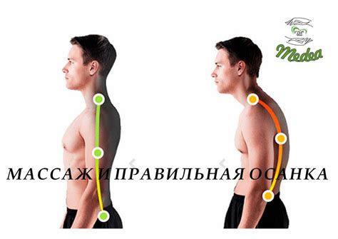 Правильная осанка и уход за позвоночником