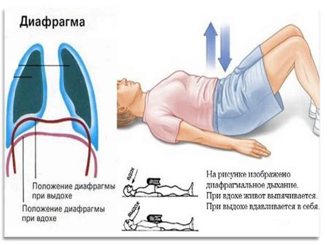 Правильное диафрагмальное дыхание