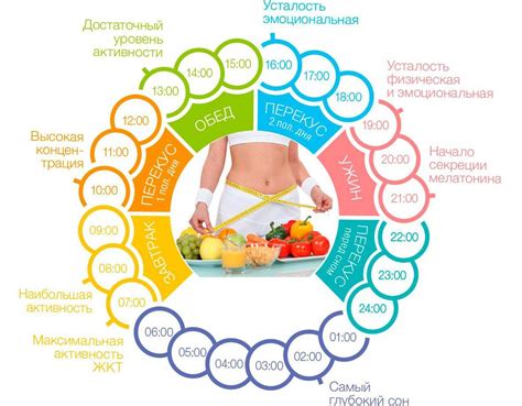 Правильное питание и здоровый режим дня