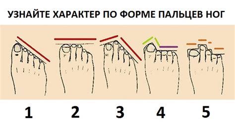 Правильное расположение на ногах