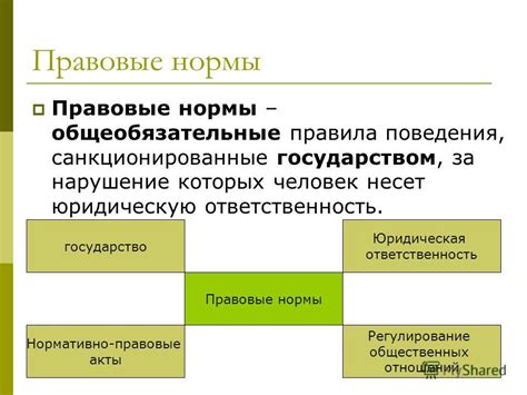 Правовые нормы и правила