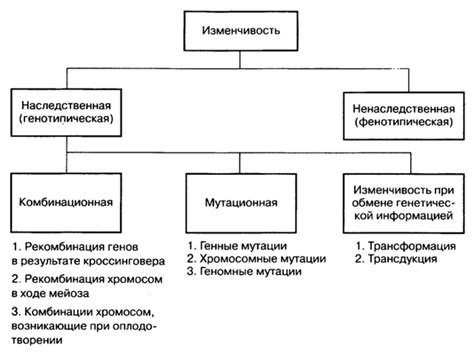 Практическое значение гетерозиготной формы для биологии и медицины