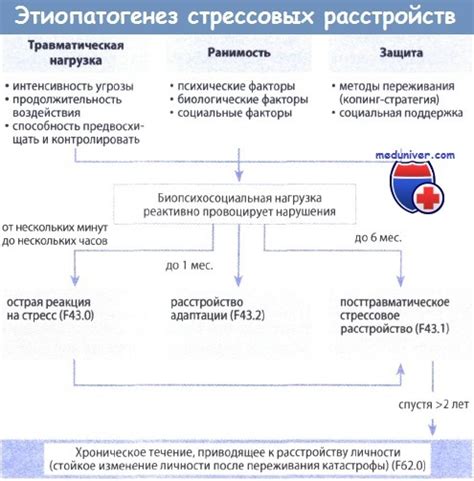 Превентивные меры для снижения эффектов посттравматического стрессового синдрома