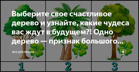 Применение накопленного опыта для достижения процветания в будущем