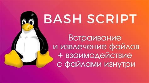 Применение переменных окружения в скриптах bash