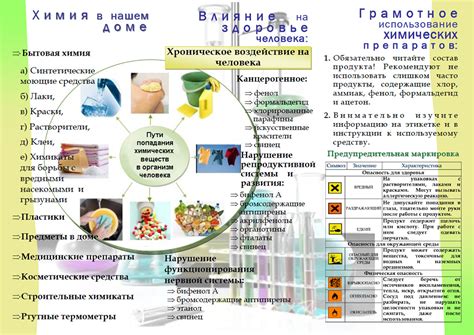 Применение химических препаратов для контроля над насекомыми: позитивные и негативные стороны, рекомендации использования