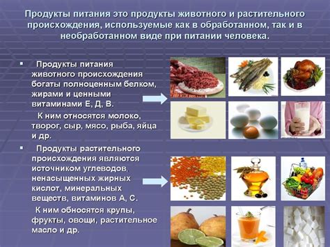 Примеры продуктов, объединяющих животные и растительные составляющие