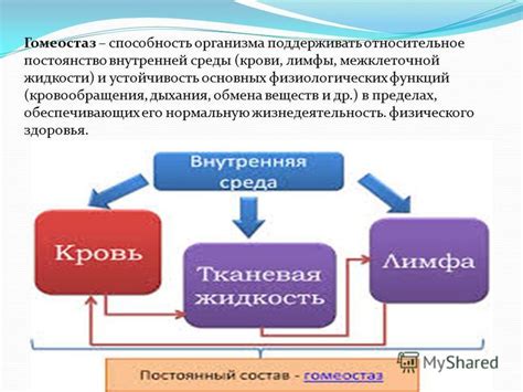 Примеры процессов гомеостаза в природе