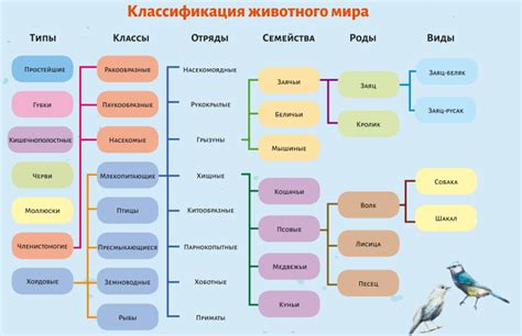 Примеры типов и классов в биологии