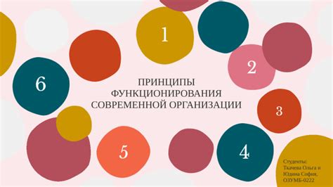 Принципы действия и функционирования современной системы ПрФ 750