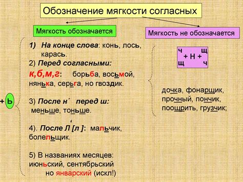 Принципы добавления мягкого знака