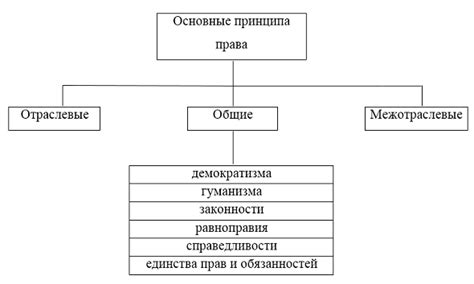 Принципы работы и основные принципы