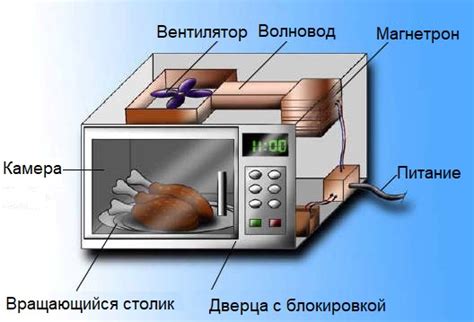 Принцип действия микроволновки