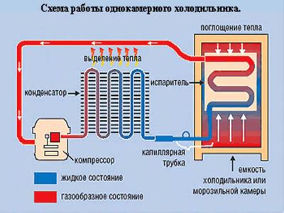 Принцип работы вентиляционного устройства в холодильнике: поддержание постоянной температуры