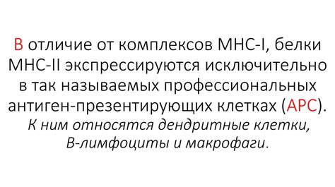 Причины возникновения патологических процессов на конечностях у домашних питомцев