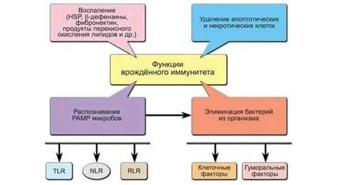 Причины нарушения иммунного механизма